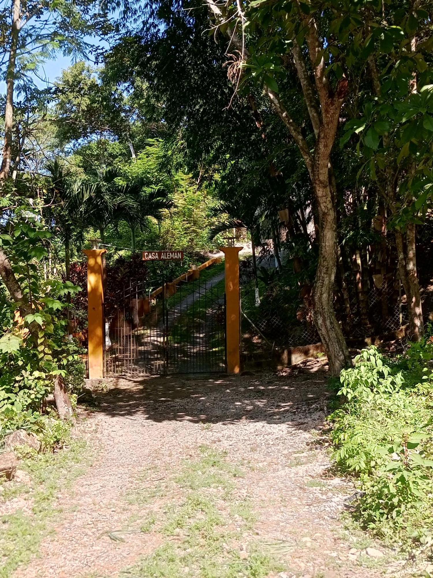 Casa Aleman Apartman Flores Kültér fotó
